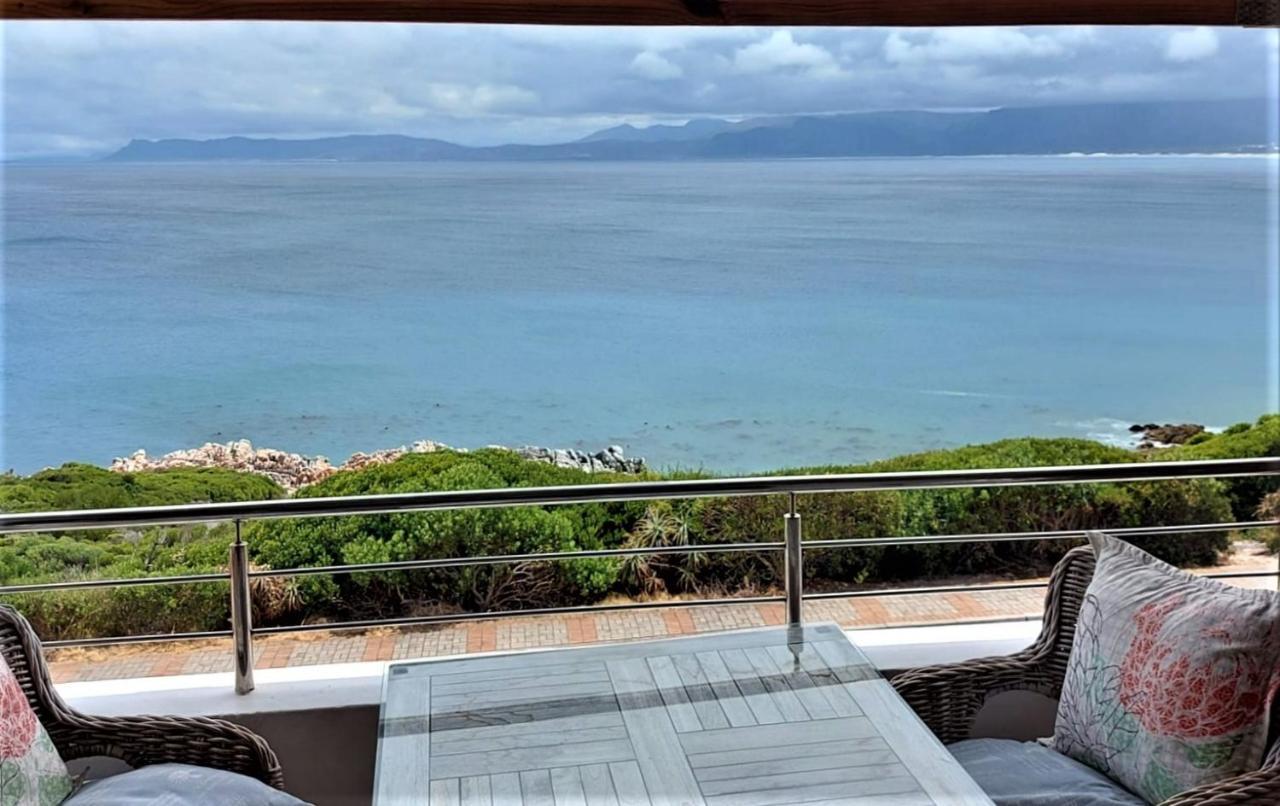 Kleinzee Oceanfront Guesthouse Gansbaai Bagian luar foto