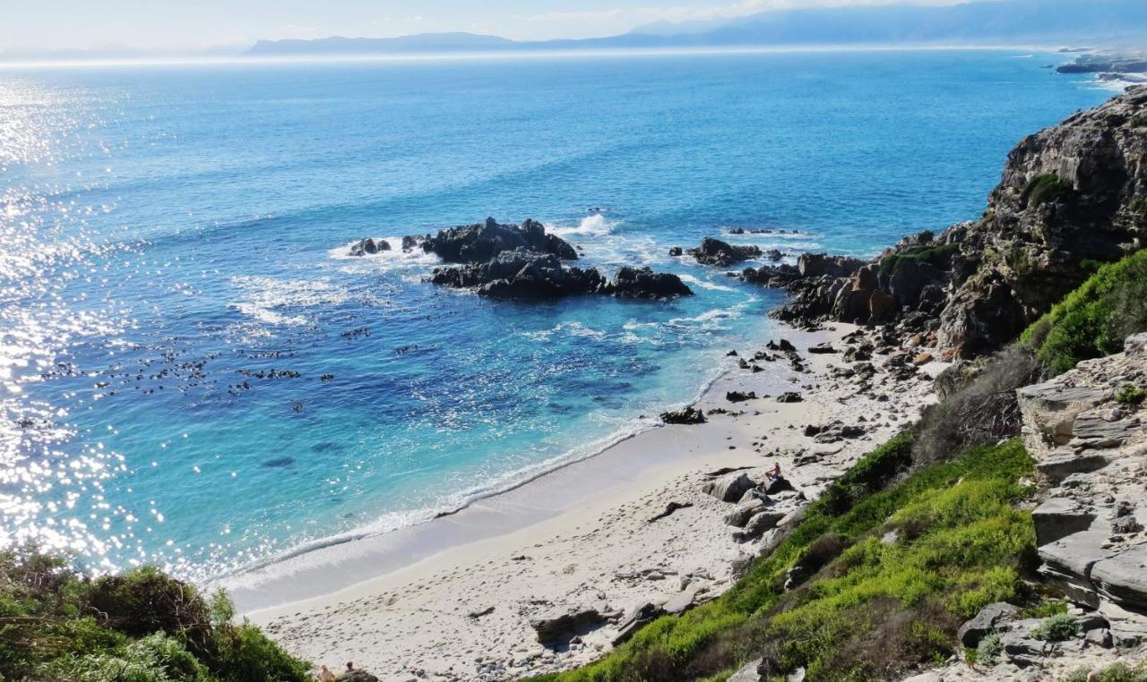 Kleinzee Oceanfront Guesthouse Gansbaai Bagian luar foto