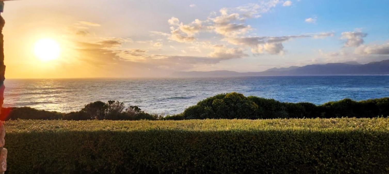 Kleinzee Oceanfront Guesthouse Gansbaai Bagian luar foto