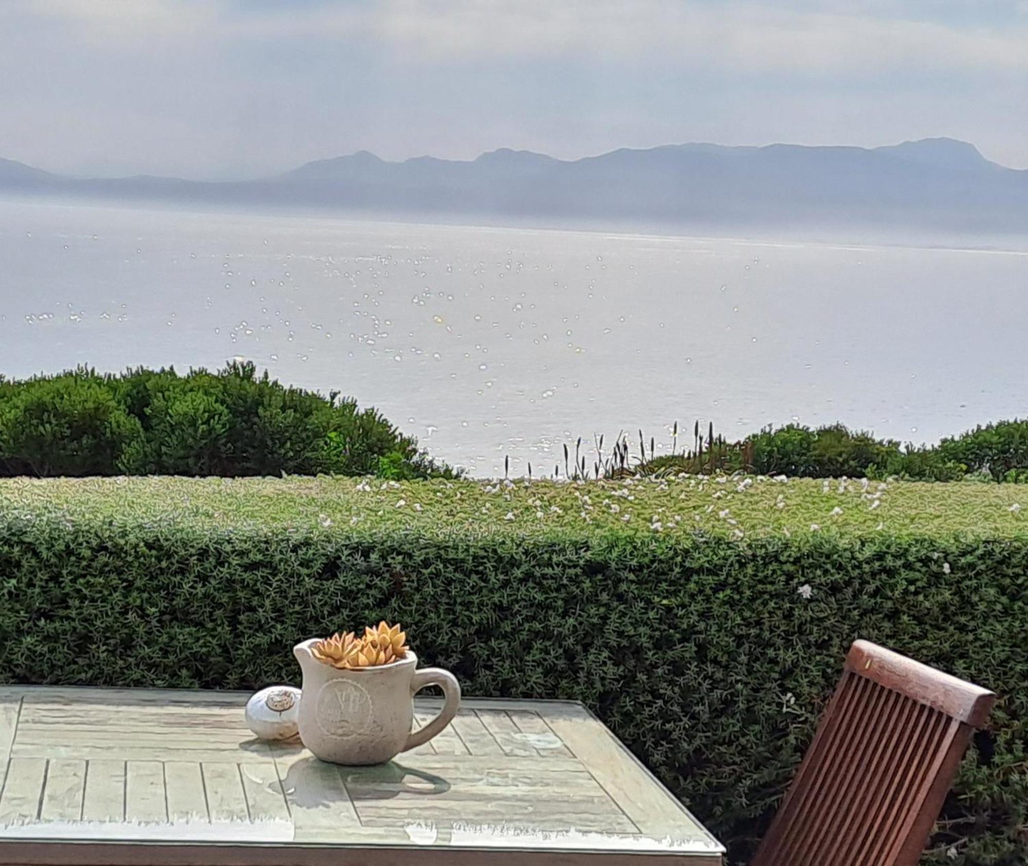 Kleinzee Oceanfront Guesthouse Gansbaai Bagian luar foto