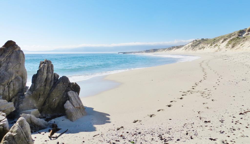 Kleinzee Oceanfront Guesthouse Gansbaai Bagian luar foto