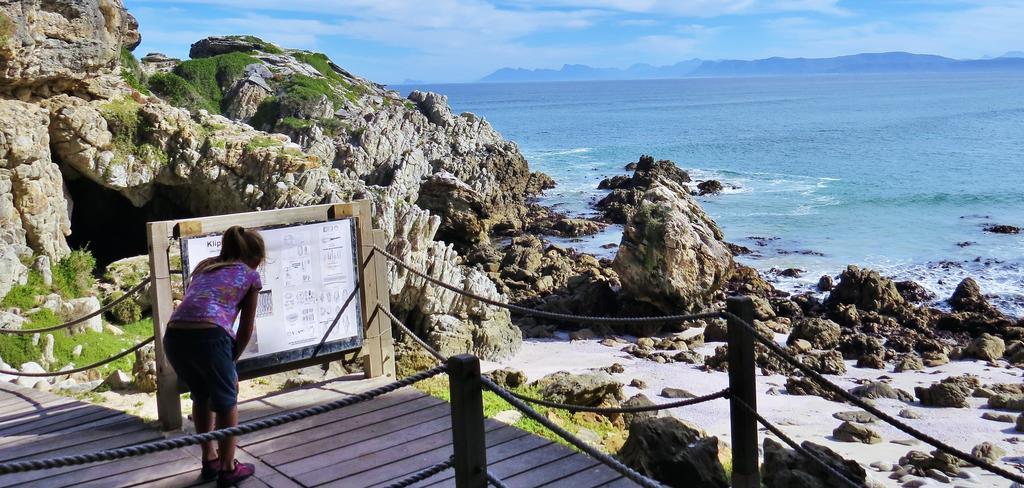 Kleinzee Oceanfront Guesthouse Gansbaai Bagian luar foto