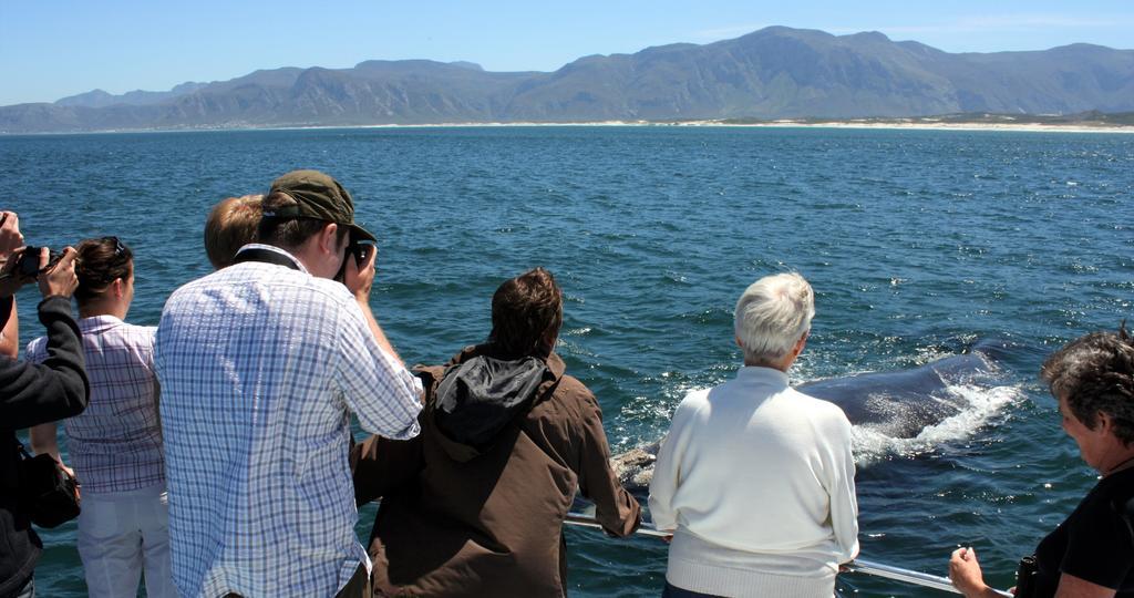 Kleinzee Oceanfront Guesthouse Gansbaai Bagian luar foto